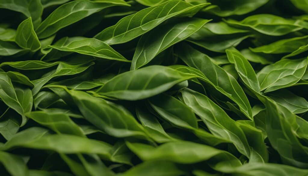 Dong Ding Tea leaves Dong Ding Tea leaves