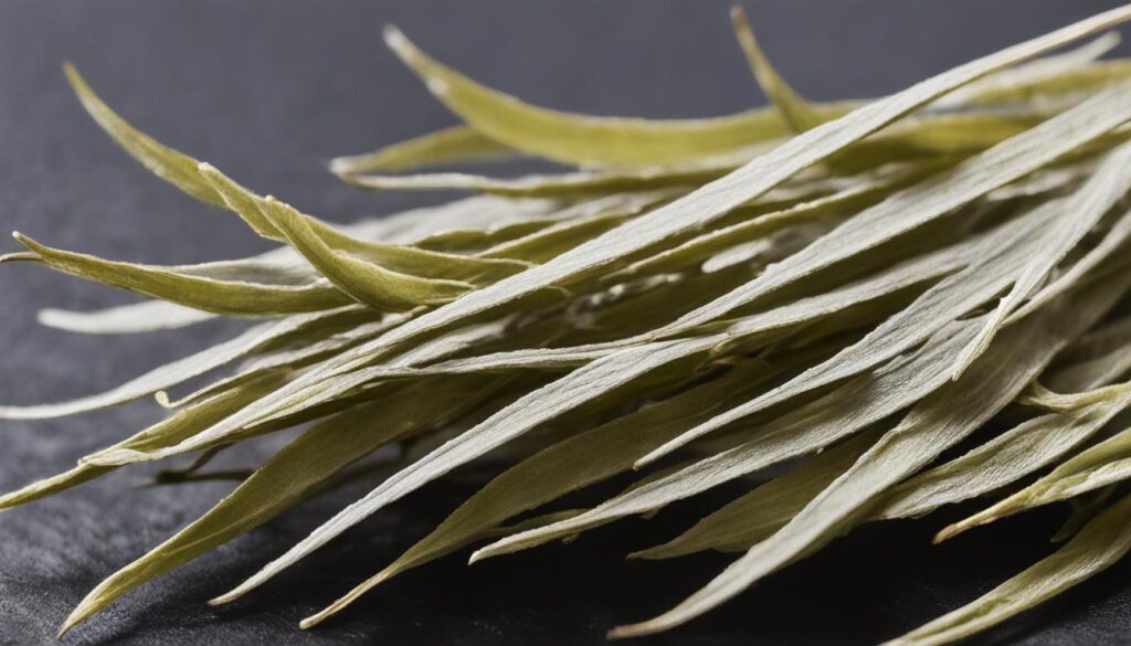 Silver Needle white tea Silver Needle white tea