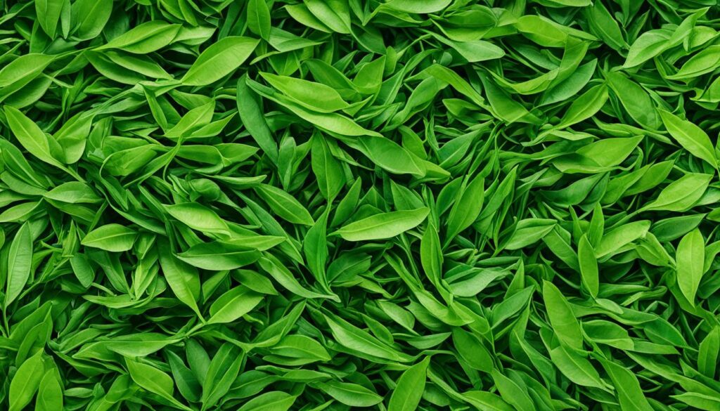 Thai Tea Leaves Thai Tea Leaves