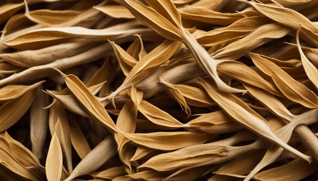 ashwagandha ashwagandha