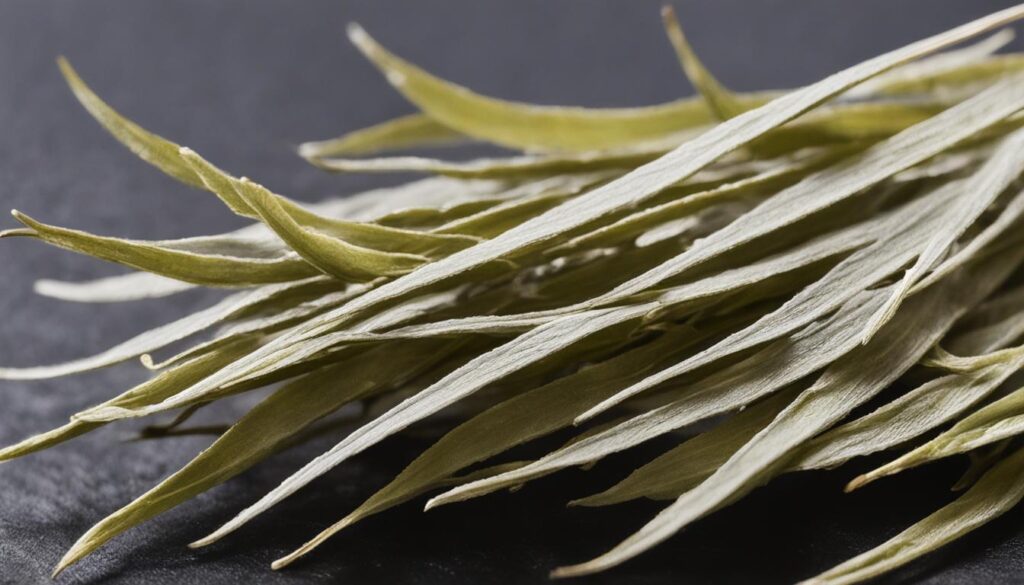 Silver Needle white tea